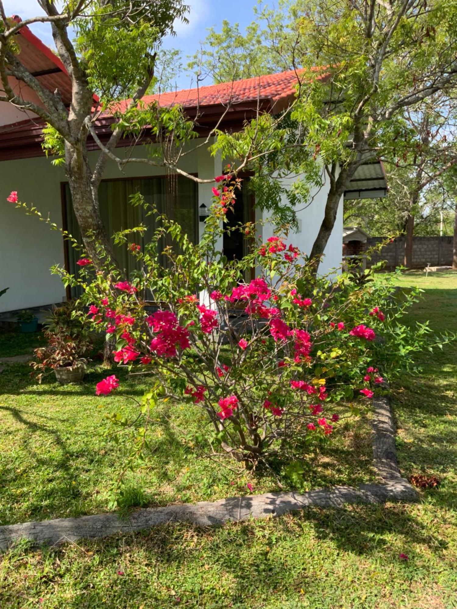 Nature Resort Polonnâruvâ Extérieur photo